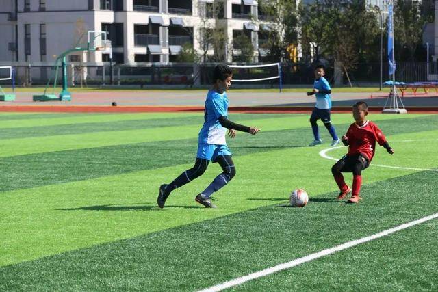 德尚：我在FIFA会议中得知 若有VAR葡萄牙欧洲杯决赛进球会被取消